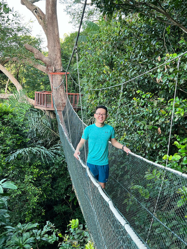 Discover Borneo Rainforest At Rasa Ria Reserve  