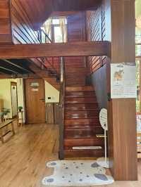 tavy's home : บางจาก