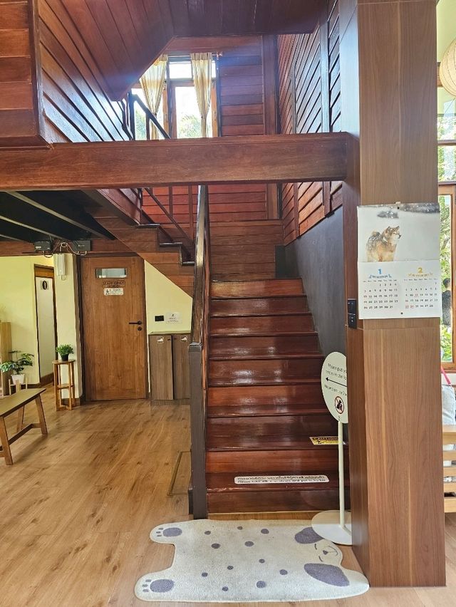 tavy's home : บางจาก