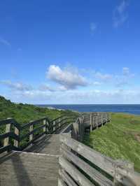 Phillip Island เมลเบิร์น🇦🇺 