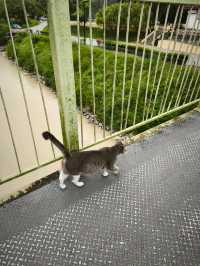 เดินเล่นริมน้ำ Kinta Riverwalk