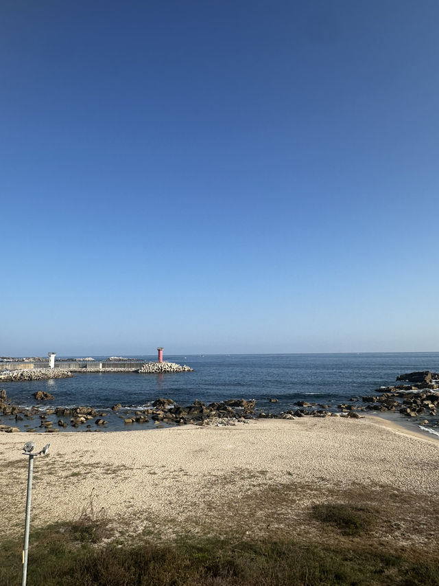 고성 바다가 한눈에 보이는 고성 맹그로브 