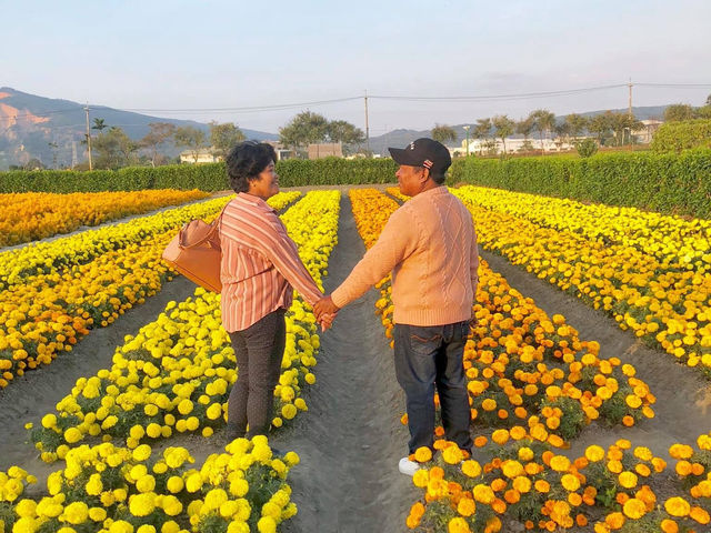 Lost in Zhongshe Flower Market for a Day– Taichung
