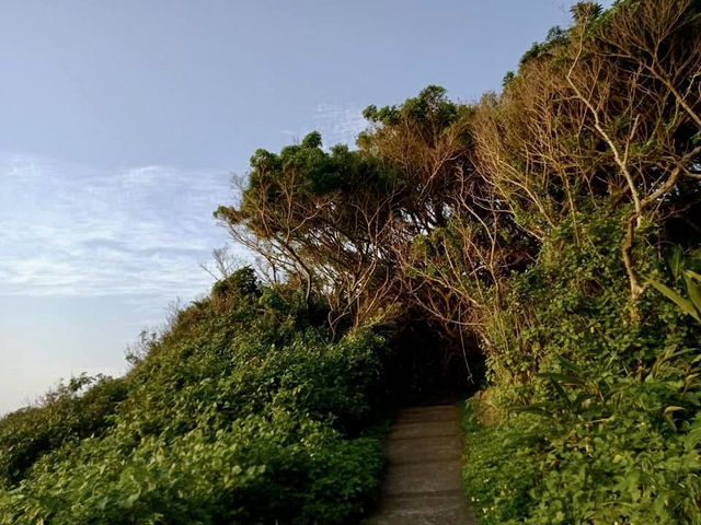 石門秘境【麟山鼻地質景觀生態步道】與老屋相見歡