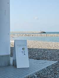 【兵庫/淡路島】日帰りドライブスポットのご紹介！