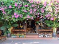 เดินเล่นเมืองเก่า 🇻🇳 ฮอยอัน เวียดนาม