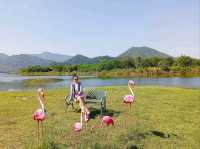 Phupha Coffee Camp ภูผา คอฟฟี่ แค้มป์