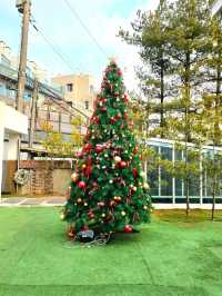 🎄트리가 예쁜💕서울 용산 한남동 - 메종 한남