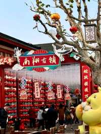 Nanxiang Old Street: A Glimpse into Jiangnan Water Town Charm