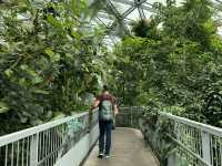 A Peaceful Escape in the Heart of Tokyo: Shinjuku Gyoen