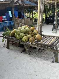 Warung Rizki: Where Coconuts and Chill Vibes Meet 🌴🥥