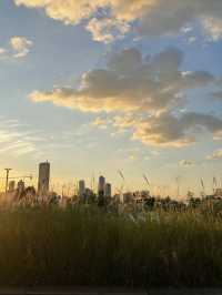 노을이 예쁜 노들섬 🌅❤️
