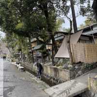 グルメに食べ歩きに参拝、アート体験などなんでもできる深大寺🥳🤍