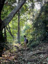 จุดยุทธศาสตร์ที่ 3 อุทยานแห่งชาติดอยขุนตาล 🍃