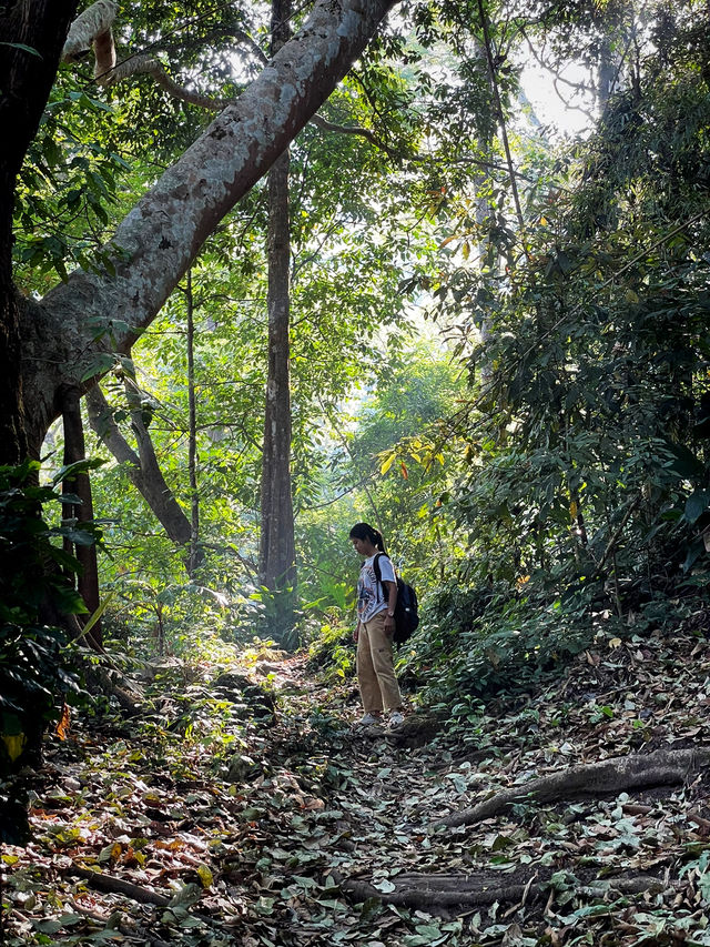 จุดยุทธศาสตร์ที่ 3 อุทยานแห่งชาติดอยขุนตาล 🍃