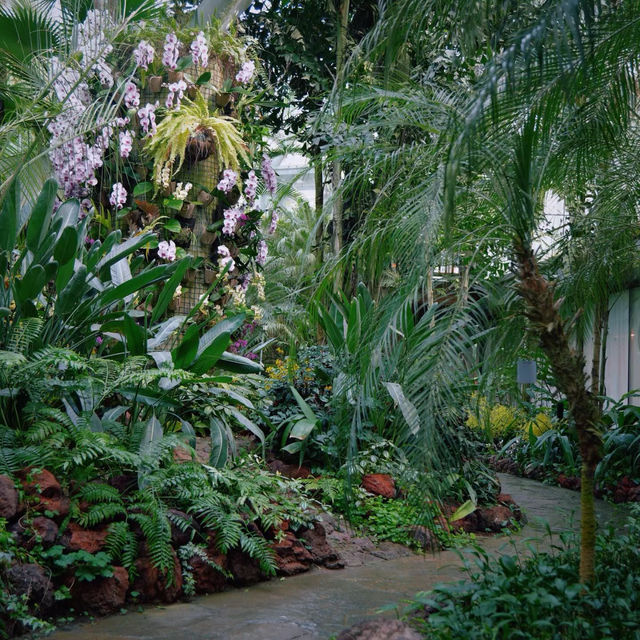 ～華南國家植物園～自然綠意～