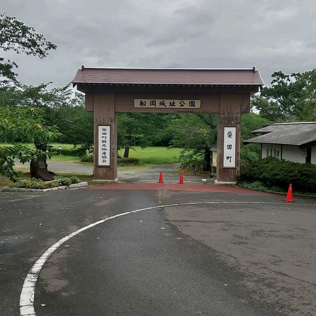 Funaoka Castle Park (船岡城址公園)