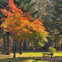 Sapporo Art Park