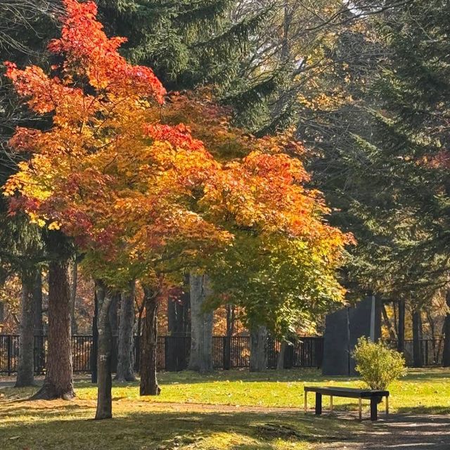 Sapporo Art Park