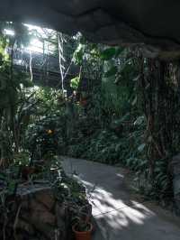 【新宿】新宿御苑・熱帯館：トロピカルな世界を体験🌿🌺
