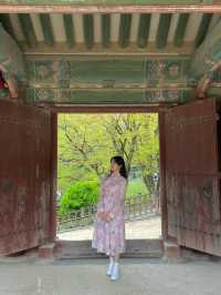 벚꽃 시즌엔 경주로 여행가보세요🌸