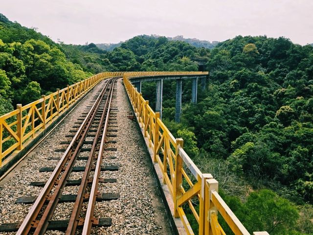 深圳森林小火車，帶你逃離城市的煩囂