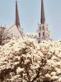 Spring's Vibrant Colors and Panoramic Views 