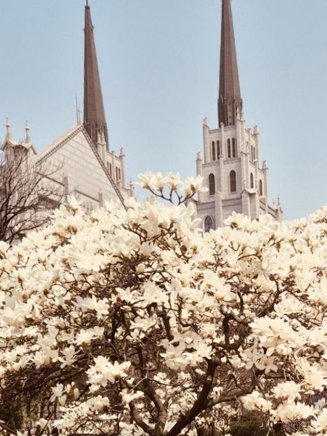 Spring's Vibrant Colors and Panoramic Views 