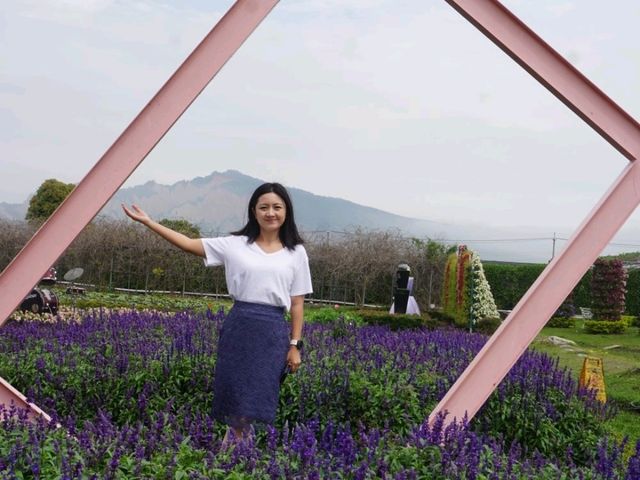 台中中社花海