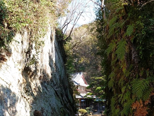 神奈川県の三浦トレイル