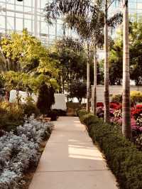 A Springtime Botanical Wonderland 🌸🌿