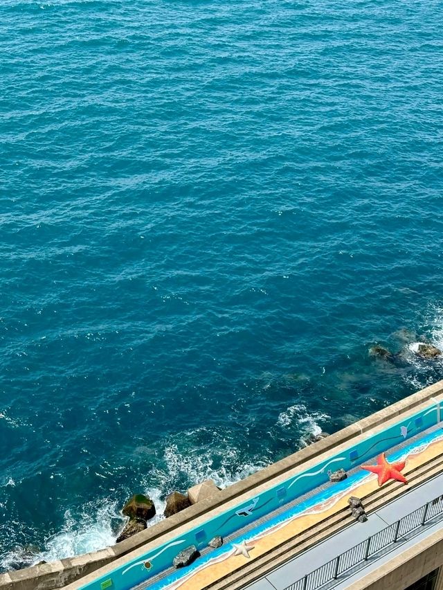 MSC Bellissima: A Journey of Modern Elegance