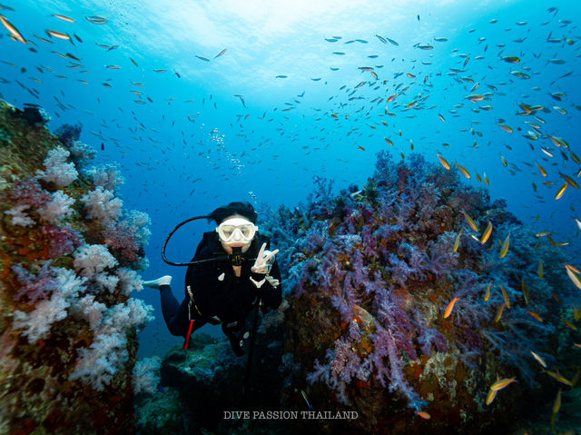 สำรวจ Dive site เกาะพระทอง