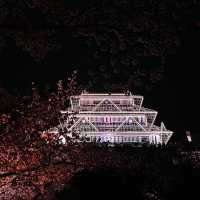 福岡 舞鶴公園春之天守閣夜櫻