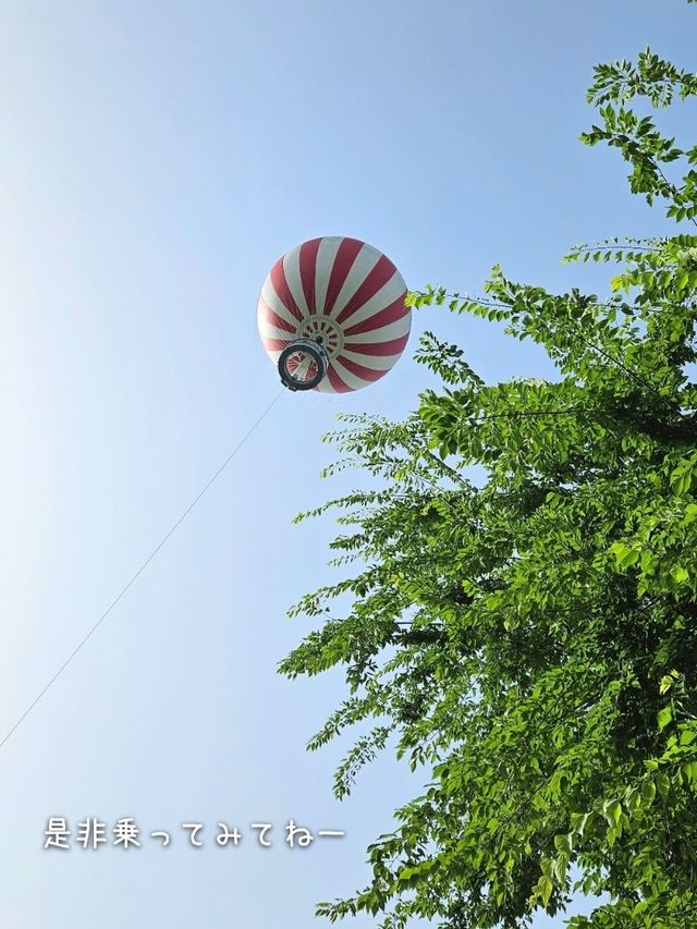 【ハンガリー／ブダペスト】15分の空の旅「バルーンフライ」