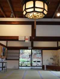 【京都×春旅】  風情ある景色、庭園、建築技術は素晴らしい