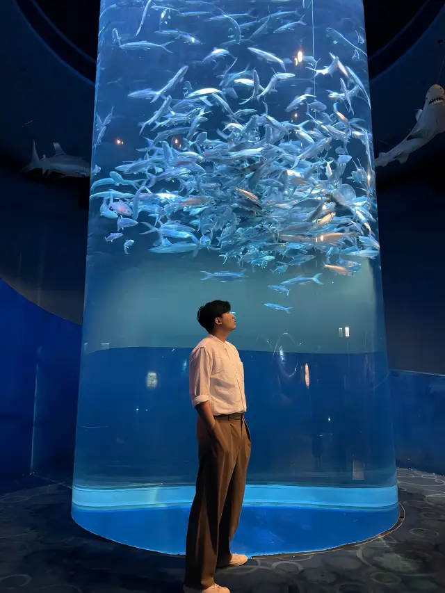 My Five-Day Trip to Hong Kong (Highly Recommended, Check It Out)