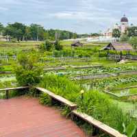 ครัวสุโข ร้านอาหารไทยแบบออแกนิค