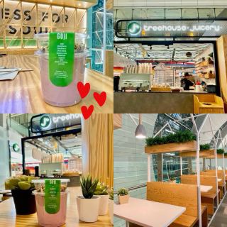 A Refreshing Oasis at Dubai Airport