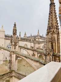 세비야에 간다면 꼭 가봐야하는 이곳🇪🇸