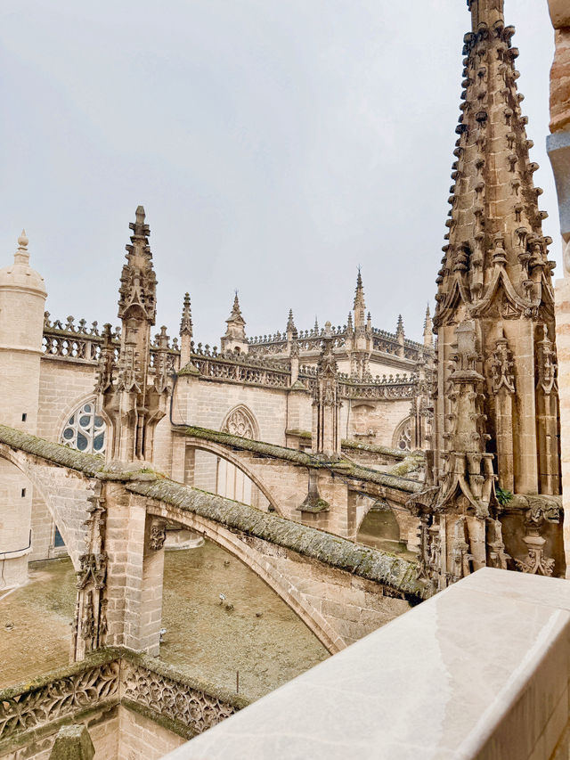 세비야에 간다면 꼭 가봐야하는 이곳🇪🇸