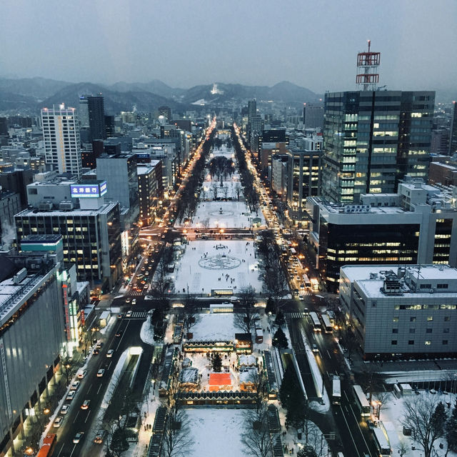 Sapporo: A Winter Wonderland with Year-Round Charm