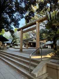 Spring Outing at Nogizaka Shrine – A Hidden Sakura Haven
