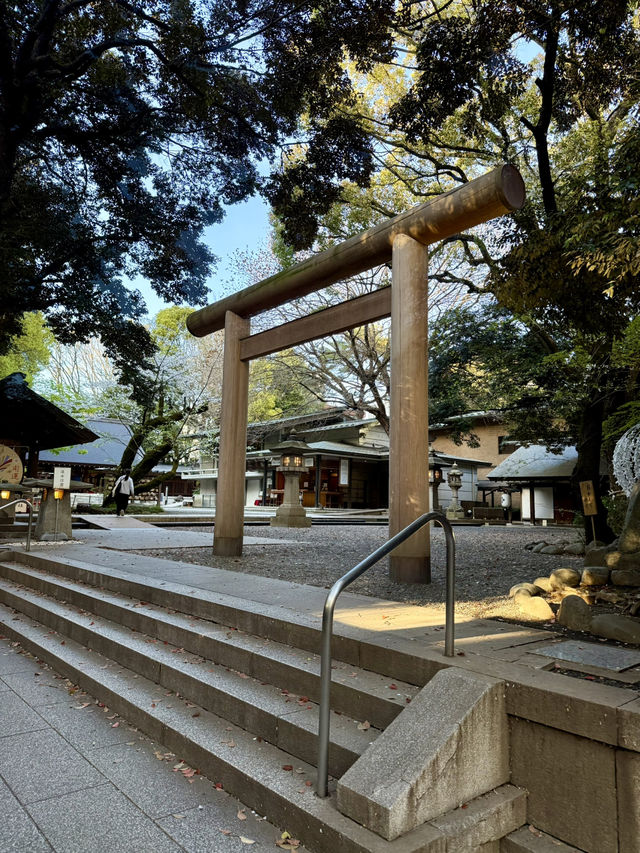 Spring Outing at Nogizaka Shrine – A Hidden Sakura Haven