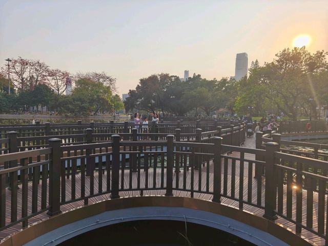 深圳其中一個最漂亮的大型荷花公園