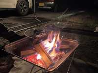 せいなの森キャンプ場で自然と触れ合うアウトドア体験⛺🌲