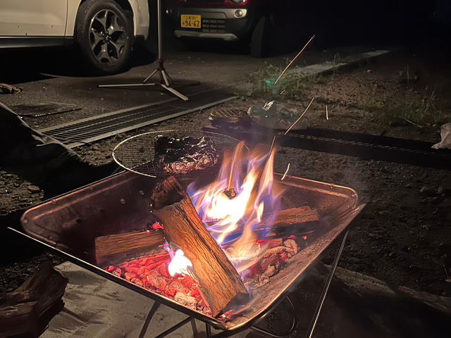 せいなの森キャンプ場で自然と触れ合うアウトドア体験⛺🌲