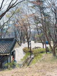 서울 벚꽃 명소 🌸