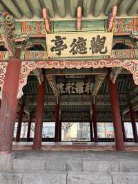 【済州島】済州島最古の建物✨兵士の訓練場✨