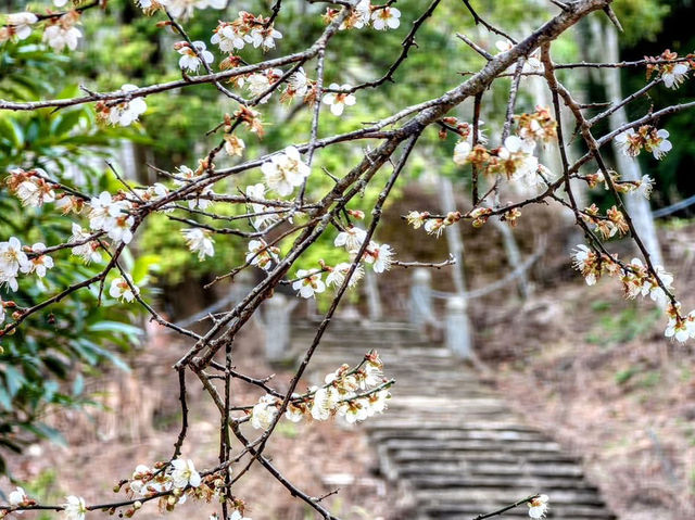 九份二山國家地震紀念地